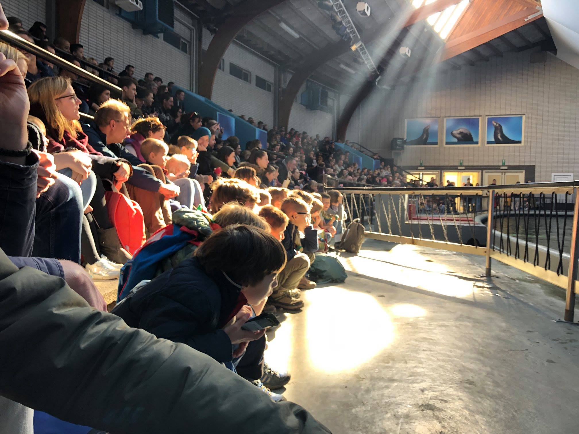 Sint-Martinus den XIIde - Zoo Antwerpen Kapoenen